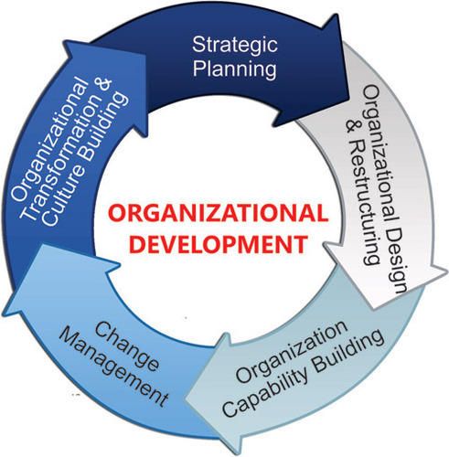 Role of Organizational Development (OD) Practitioner